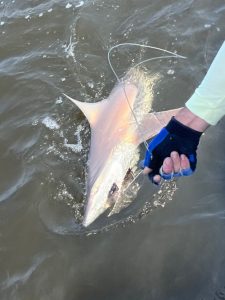 shark fishing Myrtle Beach