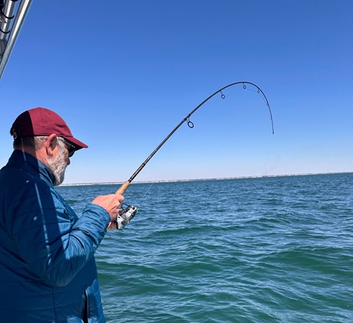 Guide to Shark Fishing - Captain Smiley Fishing Charters