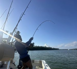 inshore charter fishing in Myrtle Beach