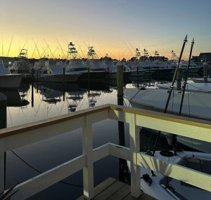 charter boat fishing in Myrtle Beach SC